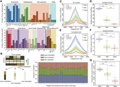 Pediatric Pan-Central Nervous System Tumor Methylome Analyses Reveal Immune-Related LncRNAs